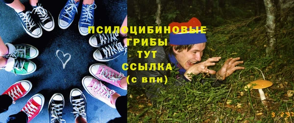 apvp Заводоуковск