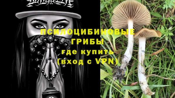 трава Елабуга