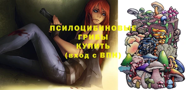 apvp Заводоуковск