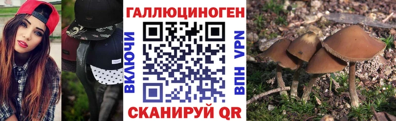 Галлюциногенные грибы GOLDEN TEACHER  Чухлома 